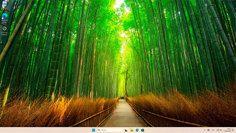 Windows 11 установлена: инструкция